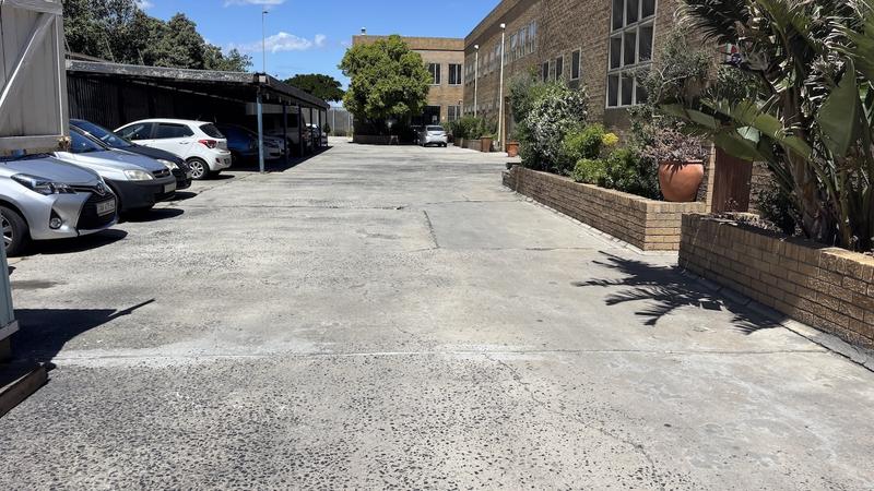 To Let commercial Property for Rent in Paarden Eiland Western Cape